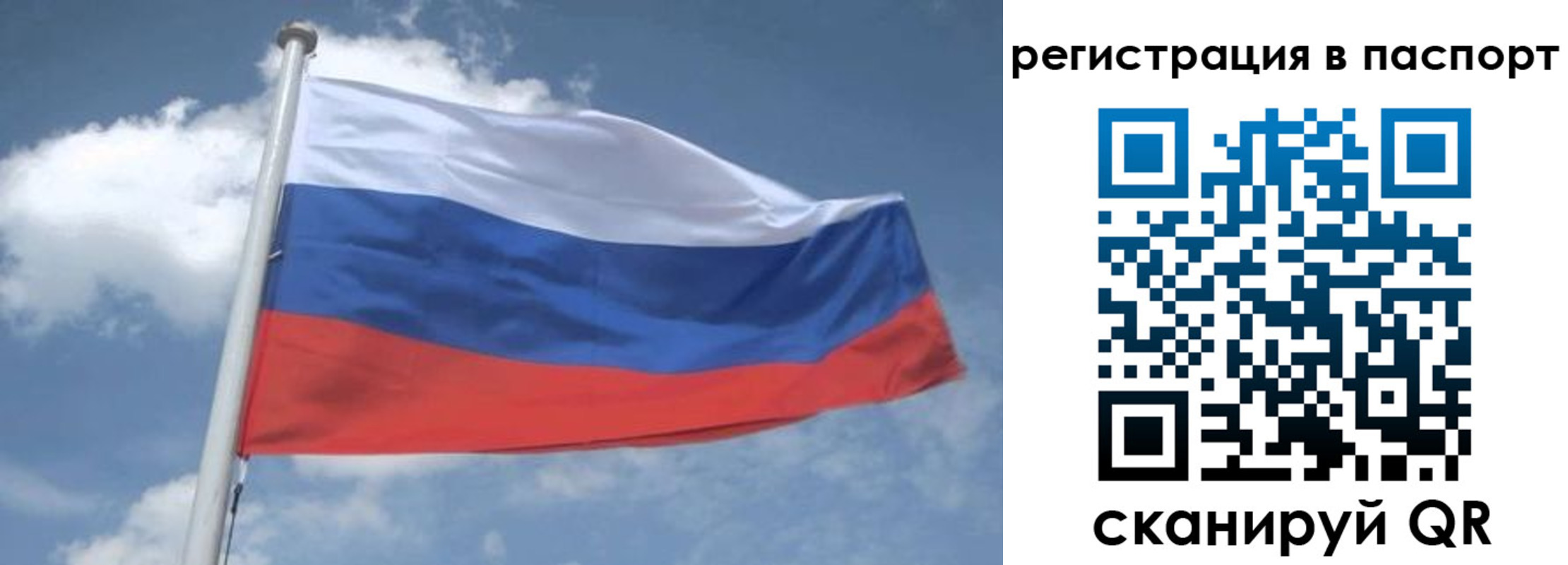 временная регистрация надежно в Заполярном